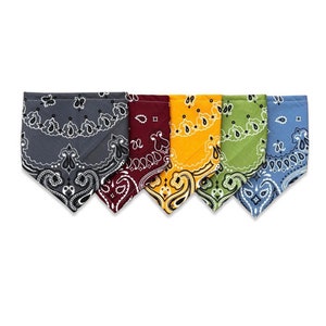 Bandana Bib for Baby - Desert Colors