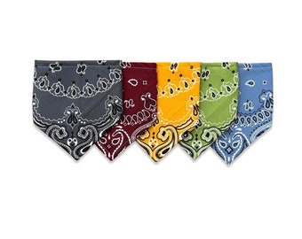 Bandana Bib for Baby - Desert Colors