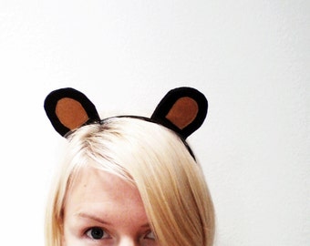 Fascia Honey Bear