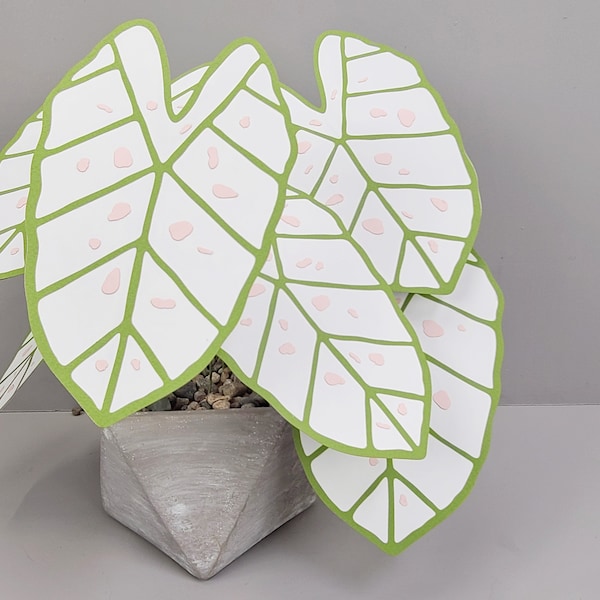 Caladium Marie Moir TEMPLATE SVG (Digital file only)