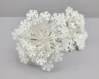 Download Queen Anne S Lace Etsy