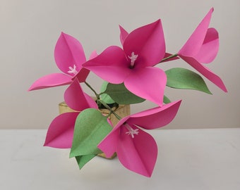 Bougainvillea TEMPLATE SVG (Digital file only)
