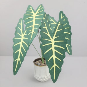 Alocasia African Mask TEMPLATE SVG (Digital file only)