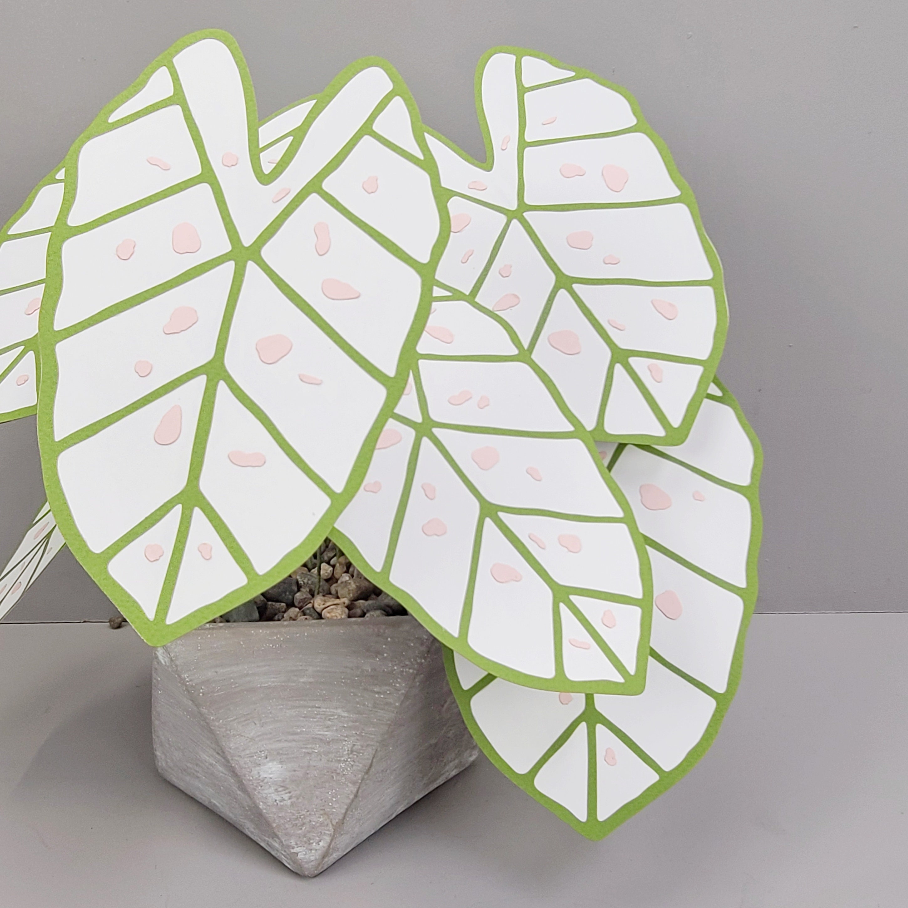 Caladium Marie Moir TEMPLATE SVG (Digital file only)