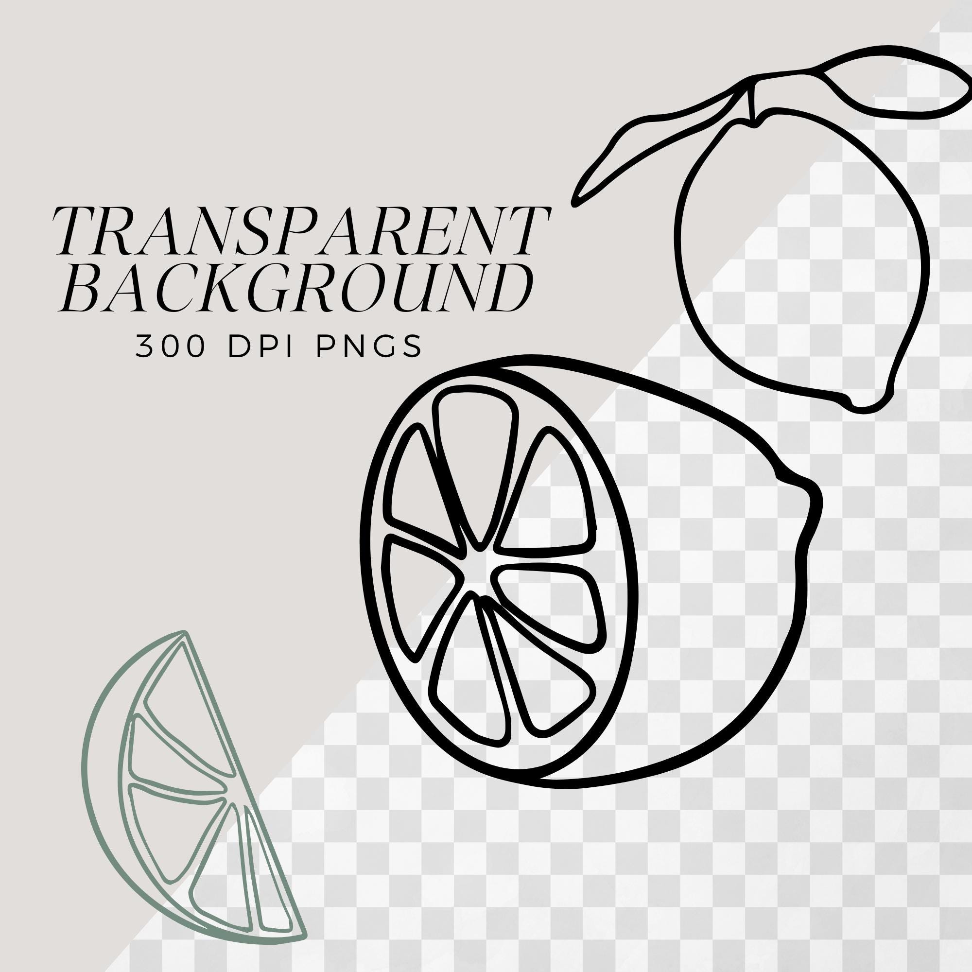 Lemon Illustrations - Hand Drawn Lemons Line Art SVG and PNG - Ink ...