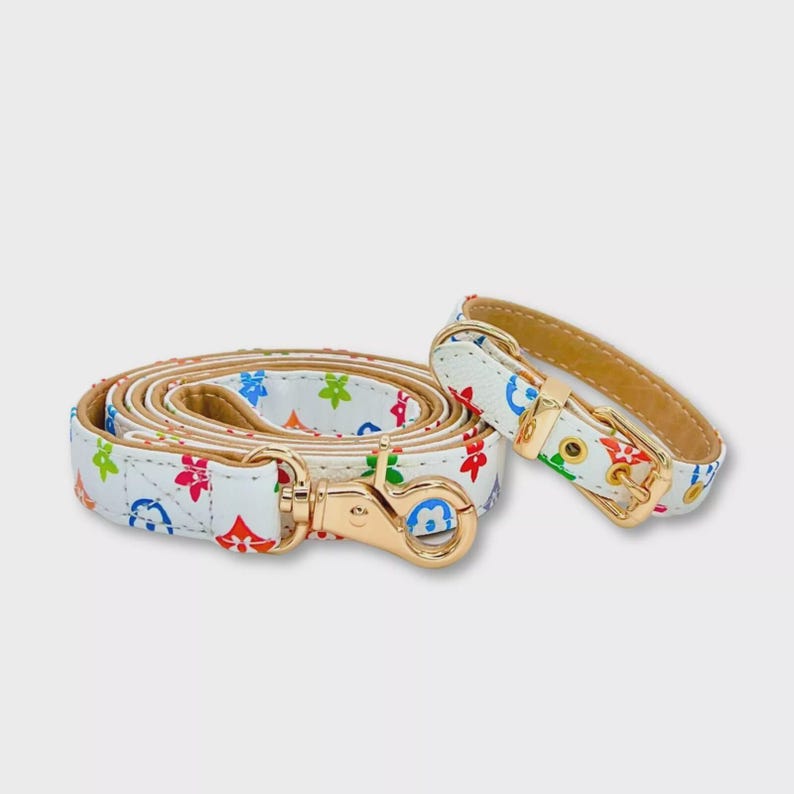 Chewy V Flower Collar & Leash Set | Rainbow | White | PU Leather - Etsy