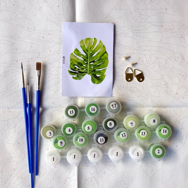 DIY Paint By Numbers Kit on Canvas Fabric - Monstera Deliciosa and other House Plants