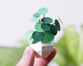 Whorled Pennywort - DIY Paper Sculpture Kit - Papercutting / Paper Craft - Crafting Kit