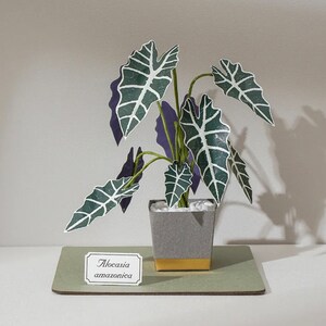 Alocasia Amazonica - miniatuur DIY papieren sculptuur crafting kit