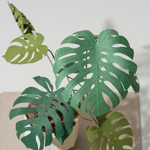 Monstera Deliciosa - Kit per realizzare sculture di carta in miniatura fai da te