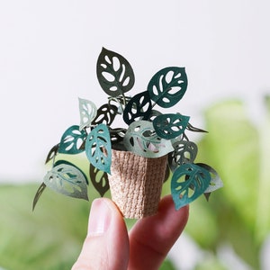 Monstera Adansonii - DIY Paper Sculpture Kit - Papercutting / Paper Craft - Crafting Kit -