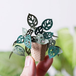 Monstera Adansonii - Miniature DIY Paper Sculpture Crafting Kit