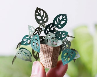 Monstera Adansonii - DIY Paper Sculpture Kit - Papercutting / Paper Craft - Crafting Kit -