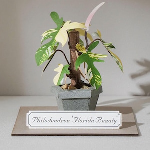 Philodendron Florida Beauty - Kit per realizzare sculture di carta in miniatura fai da te
