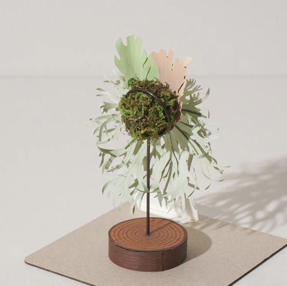 Platycerium Willinckii 'jenny' - Miniature DIY Paper