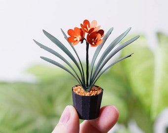 Clivia Miniata Bush Lily - DIY Paper Sculpture Kit - Papercutting / Paper Craft - Crafting Kit