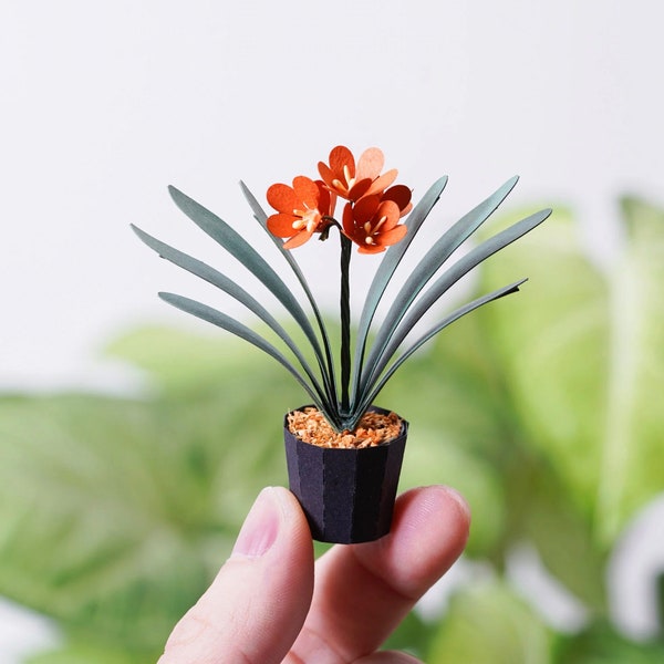 Clivia Miniata Bush Lily - DIY Paper Sculpture Kit - Papercutting / Paper Craft - Crafting Kit