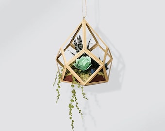 Succulents Hanging Ornament - DIY Paper Sculpture Kit - Papercutting / Paper Craft - Crafting Kit