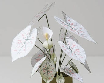 Caladium Strawberry Star - DIY Paper Sculpture Kit - Papercutting / Paper Craft - Crafting Kit