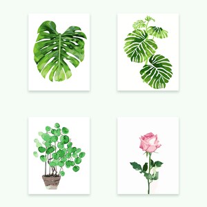 DIY Paint By Numbers Kit on Canvas Fabric - Monstera Deliciosa and other House Plants