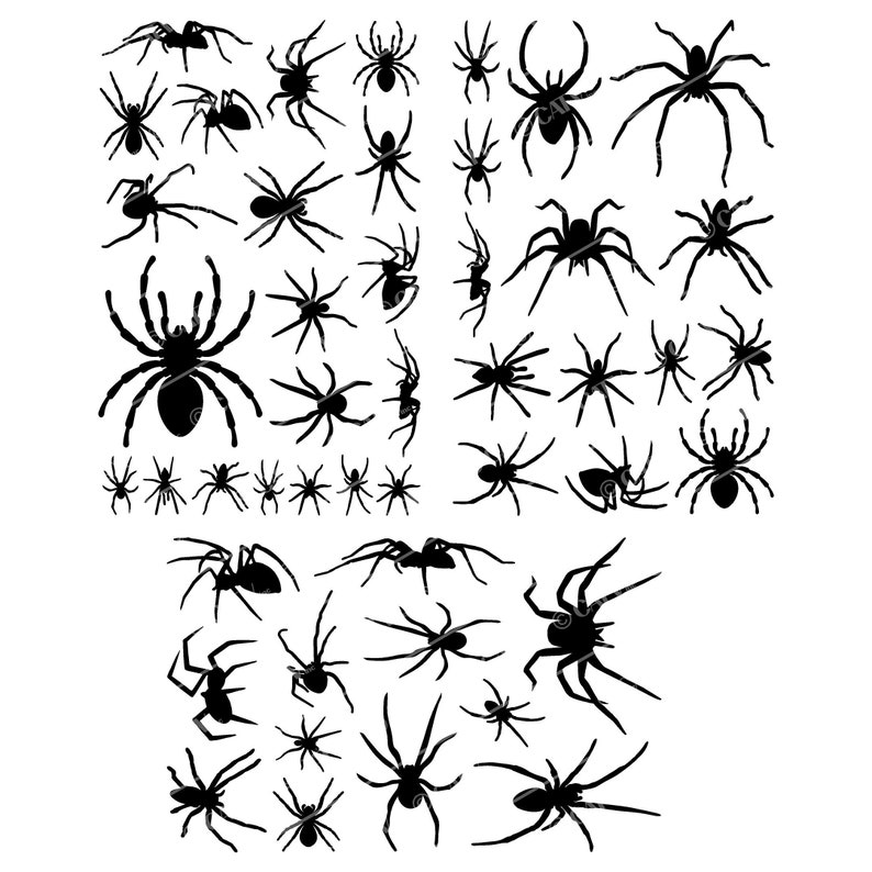 Halloween Spiders Spider Wall Decal Stickers Seasonal Holiday Vinyl Wall Decals Stickers Prank Party Home Decor Craft Gift DIY image 3