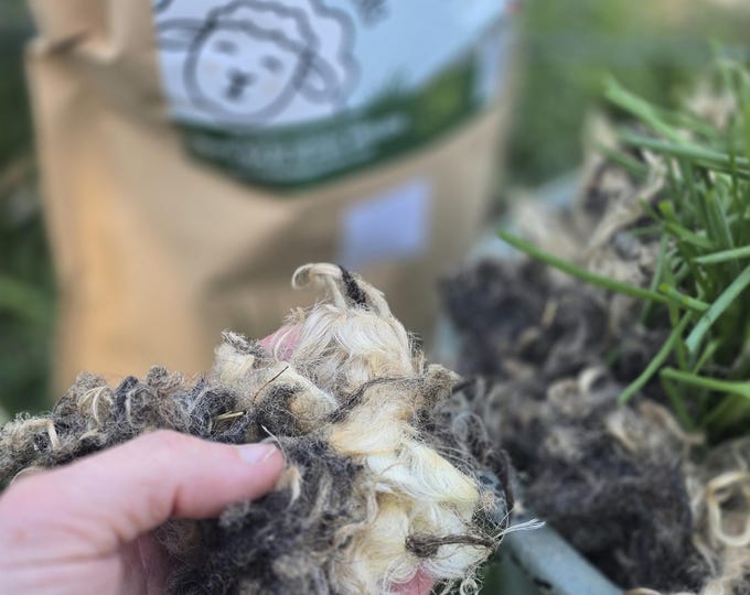 Wool Mulch