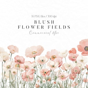 Clipart de flor de blush aquarela, clipart de ranúnculo, clipart de papoula, clipart floral de blush, flor pastel PNG, convites de casamento florais