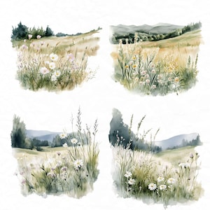 Op de afbeelding: Vier aquarellen van een veld met wilde bloemen met een bergketen op de achtergrond. De schilderijen zijn in een gedempte kleurenpalet van groen, bruin en wit.