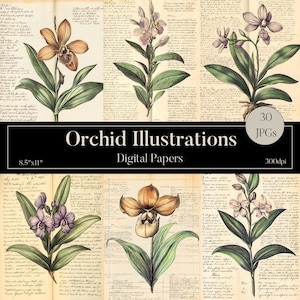 Vintage Orchid Flower Illustrations, Floral Junk Journal, Botanical Junk Journal, Orchid Ephemera, Vintage Botanical Art,Flower Junk Journal