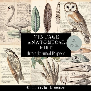 20 pagine di diario di uccelli spazzatura, effimeri vintage, diario di uccelli, kit di creazione di carta, effimeri di uccelli, carte digitali di uccelli, ahi, pettirosso, shabby chic