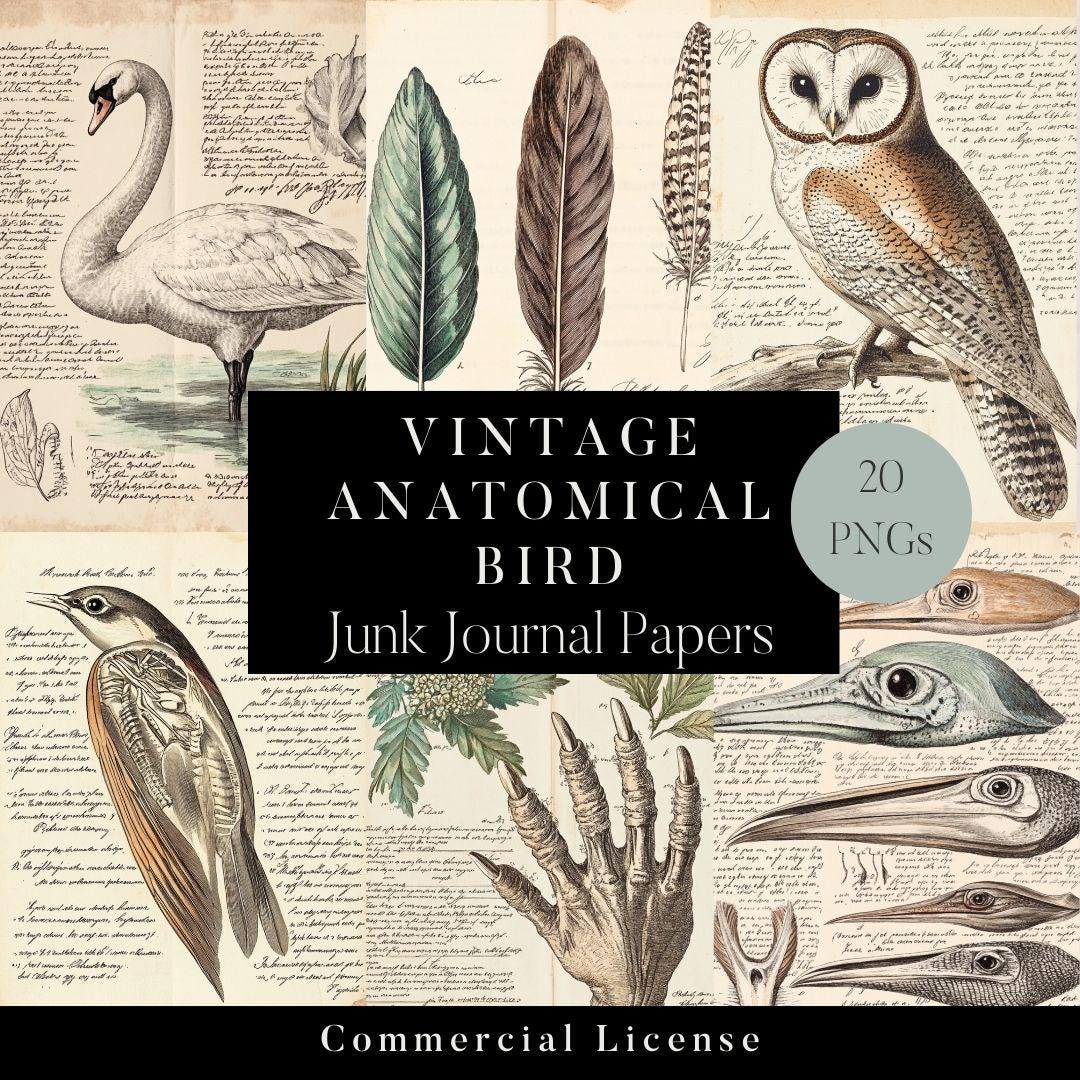 20 Bird Junk Journal Pages, Vintage Ephemera, Bird Journal, Paper Crafting Kit, Bird Ephemera, Bird Digital Papers, Ow, Robin, Shabby Chic