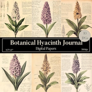 Hyazinthe Junk Journal Download, Hyazinthe Wandkunst, Floral Junk Journal, Botanische Illustrationen, Blumen Scrapbooking Papiere, Blumenkunst JPG