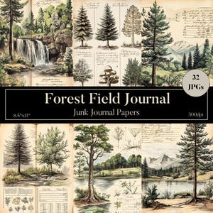 Vintage Forest Feld Journal Seiten, Digital Junk Journal Kit, Botanische Skizzen von Waldland, druckbare Natur Ephemera, Vintage Sammelalbum