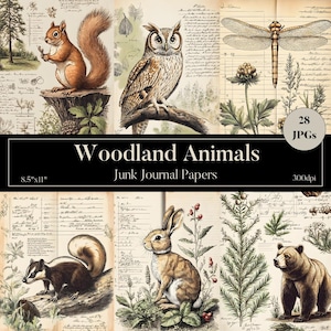Páginas de diario de campo de animales del bosque, kit de diario digital, bocetos de naturaleza, efímeras de vida silvestre, arte forestal imprimible