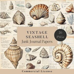 May include: Vintage seashell illustrations on a cream background with the text "Vintage Seashell Junk Journal Papers" and "20 PNGs" in black text. The text "Commercial License" is at the bottom of the image.