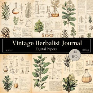 Journal botanique vintage, art numérique de phytothérapie,