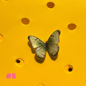 May include: A decorative butterfly with translucent wings, featuring green and yellow hues, rests on a bright yellow surface. The butterfly's intricate details are visible, and the number "#5" is displayed in pink.