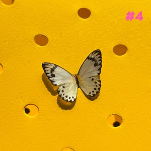 May include: A butterfly with cream-colored wings and black spots rests on a bright yellow surface with circular cutouts. The butterfly's wings are open, showcasing intricate patterns. The number "#4" is in pink in the upper right corner.