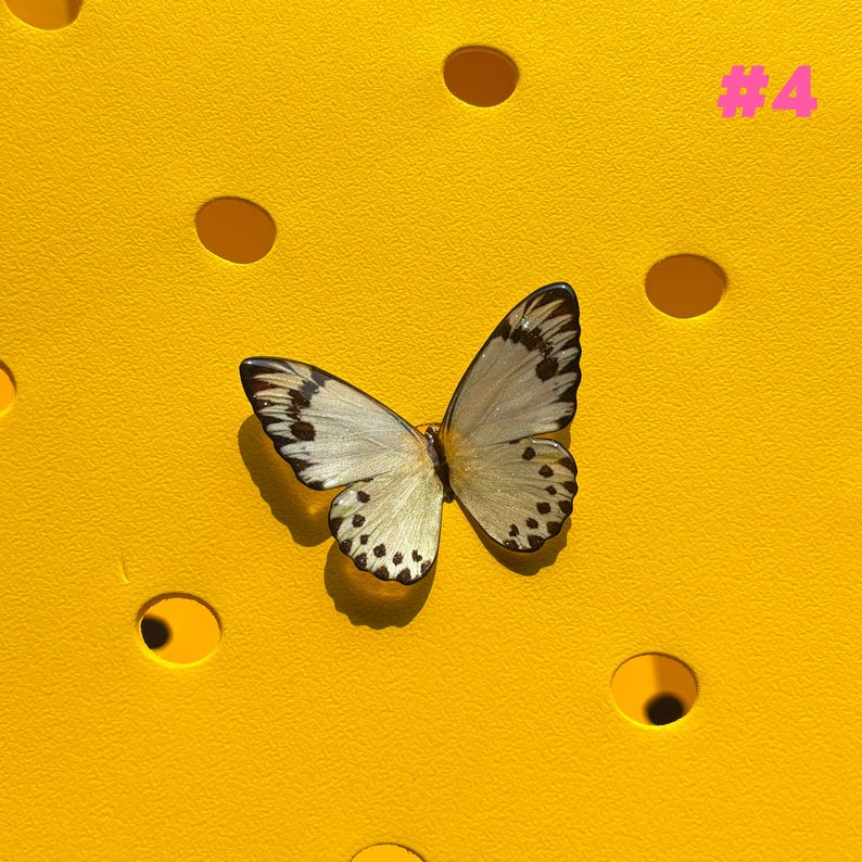 May include: A butterfly with cream-colored wings and black spots rests on a bright yellow surface with circular cutouts. The butterfly's wings are open, showcasing intricate patterns. The number "#4" is in pink in the upper right corner.