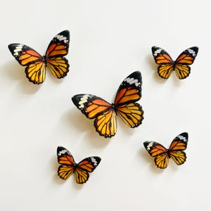 Könnte beinhalten: Fünf dekorative Schmetterlingsornamente. Die Schmetterlinge haben schwarze, weiße, orangefarbene und gelbe Flügel. Die Flügel sind ausgebreitet, und die Schmetterlinge sind auf einem weißen Hintergrund angeordnet.
