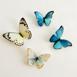 May include: Four decorative butterfly ornaments in shades of blue, cream, and yellow are arranged on a white background. The butterflies have detailed wing patterns and varying shades of colour, creating a realistic appearance.