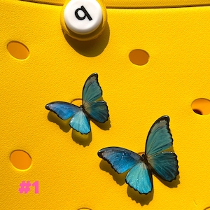 May include: Two blue butterfly charms with black outlines are displayed on a bright yellow surface. The butterflies have detailed wing patterns and are positioned near a white circular button with a black "a" on it. The number "#1" is in pink.