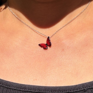May include: A silver chain necklace with a red butterfly pendant.