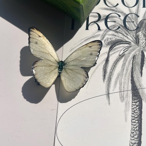 Pieris Rapae  Butterfly Hair Clips, ButterFly Side Hair Pins, Fairy Hair Accessories, Handmade Jewelry, Gift for Her