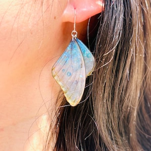 May include: A pair of butterfly earrings with iridescent blue and green wings. The wings are translucent and have a delicate, layered look.