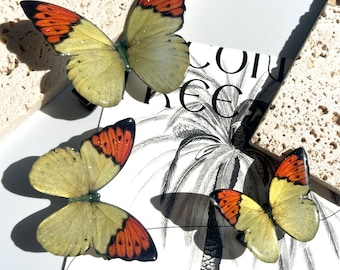 Orange Tip Butterfly Hair Clips, Buterfly Side Hair Pins, Fairy Hair Accessories, Handmade Jewelry, Gift for Her