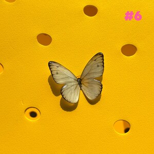 May include: A detailed image of a butterfly with light tan wings and dark brown edges, resting on a bright yellow surface. The butterfly's shadow is visible. The background is a textured yellow with evenly spaced circular holes.