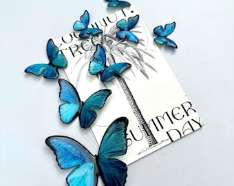 May include: A collection of blue butterfly decorations on a white background with the text "Coconut Tree Summer Day".