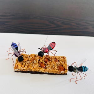 May include: Three wire-crafted insects with colorful wings and black heads are perched on a granola bar with chocolate on the bottom.