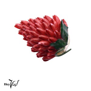 May include: A red flower-shaped decorative object with a cluster of pointed petals. The object has green leaves and a curved stem. The flower is set against a white background.